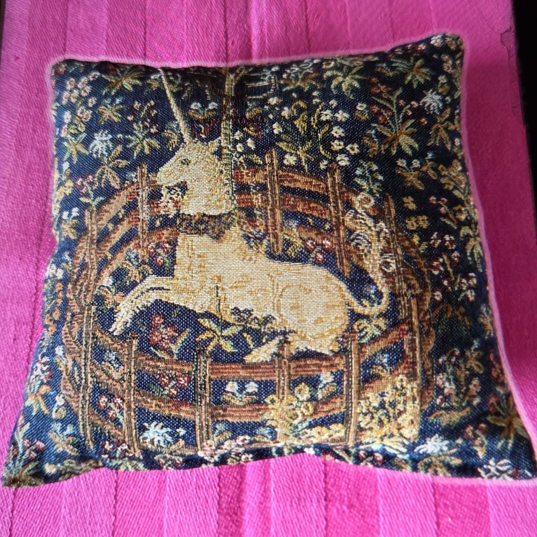 KUDDE : Den fångna enhörningen (The Unicorn in Captivity)