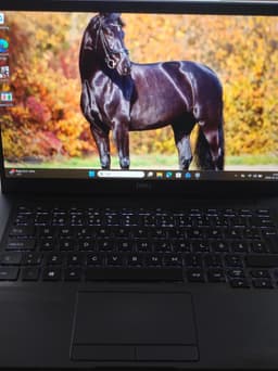 14" Dell Latitude 7400 | i7-8665U | Batterihälsa 55% | 16GB | 256GB | Win 11 Pro