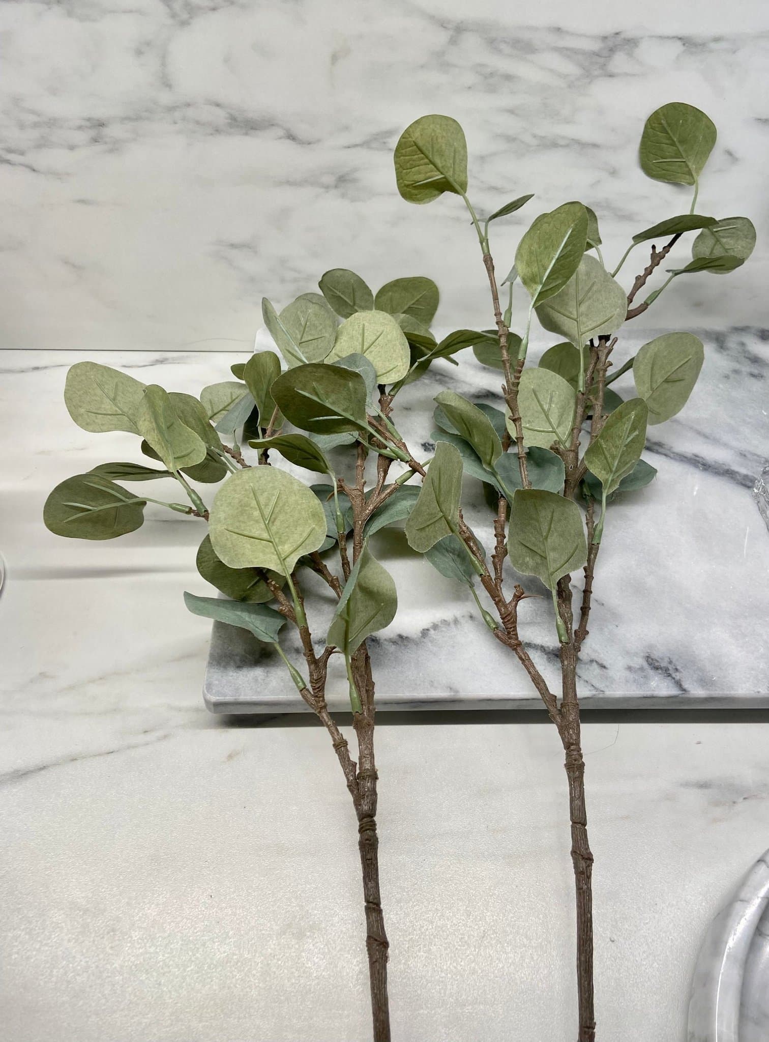 2st Eucalyptus Kvistar 65cm Konstgjorda