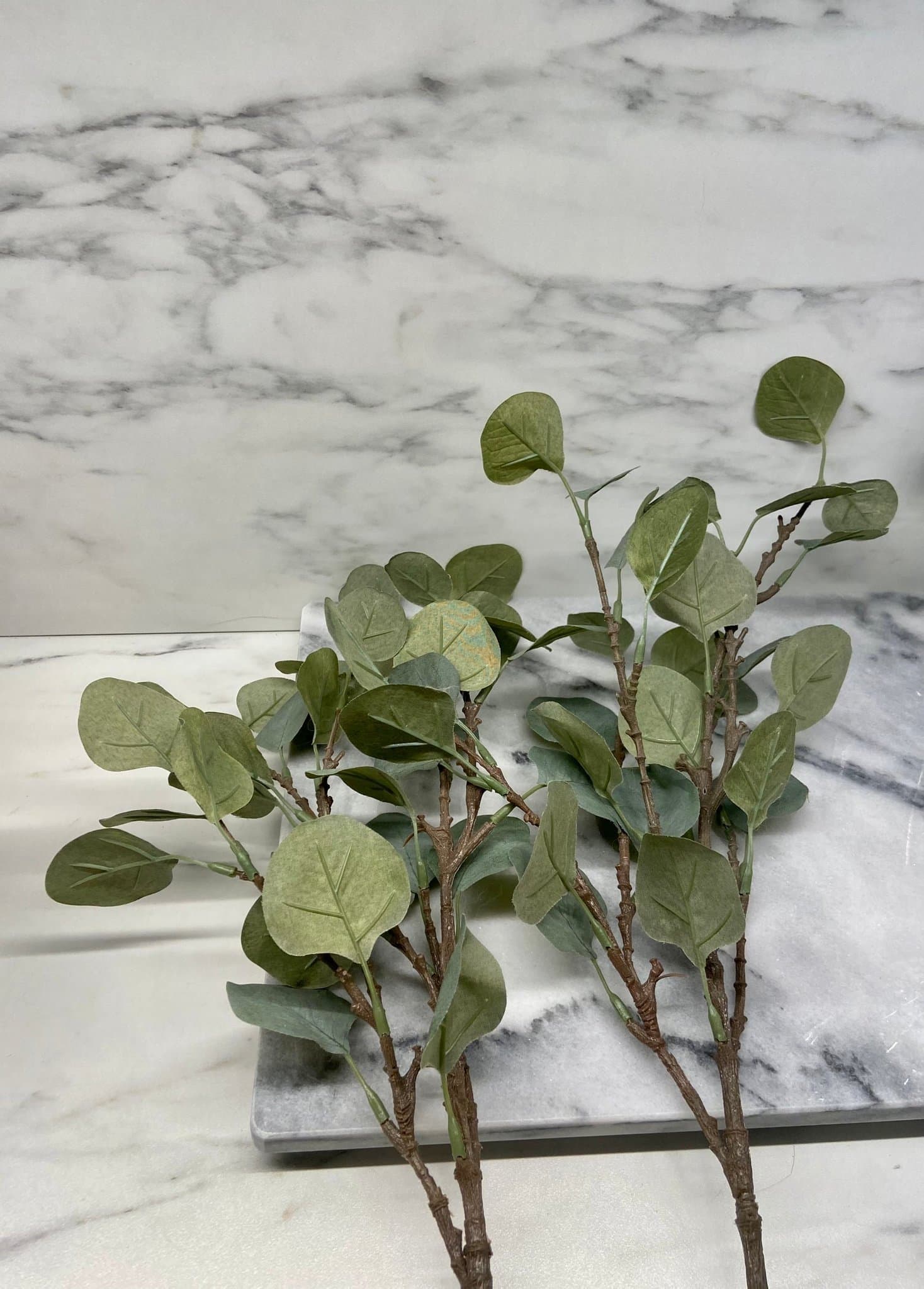 2st Eucalyptus Kvistar 65cm Konstgjorda