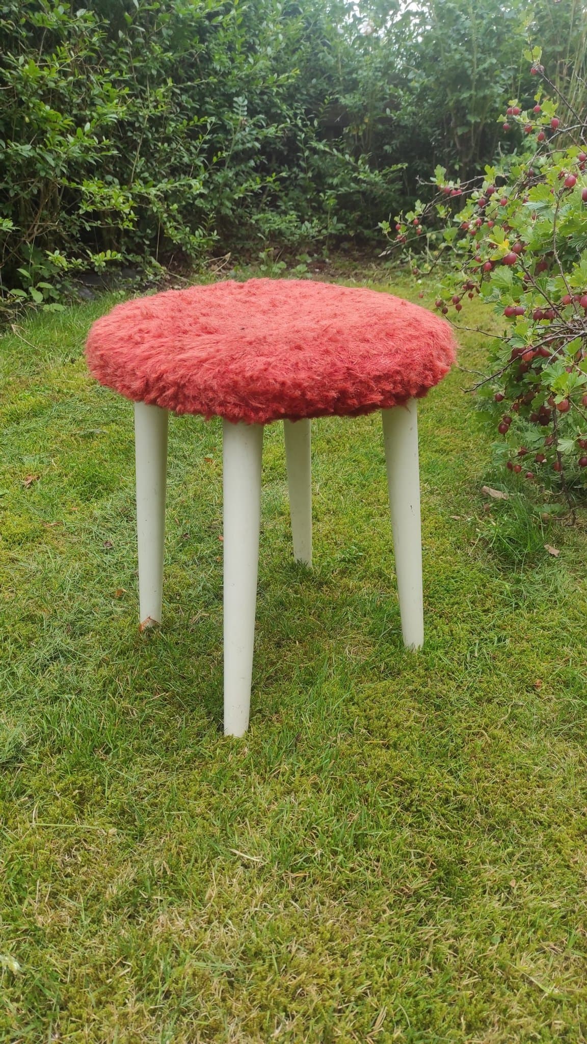 Röd plysch retropall