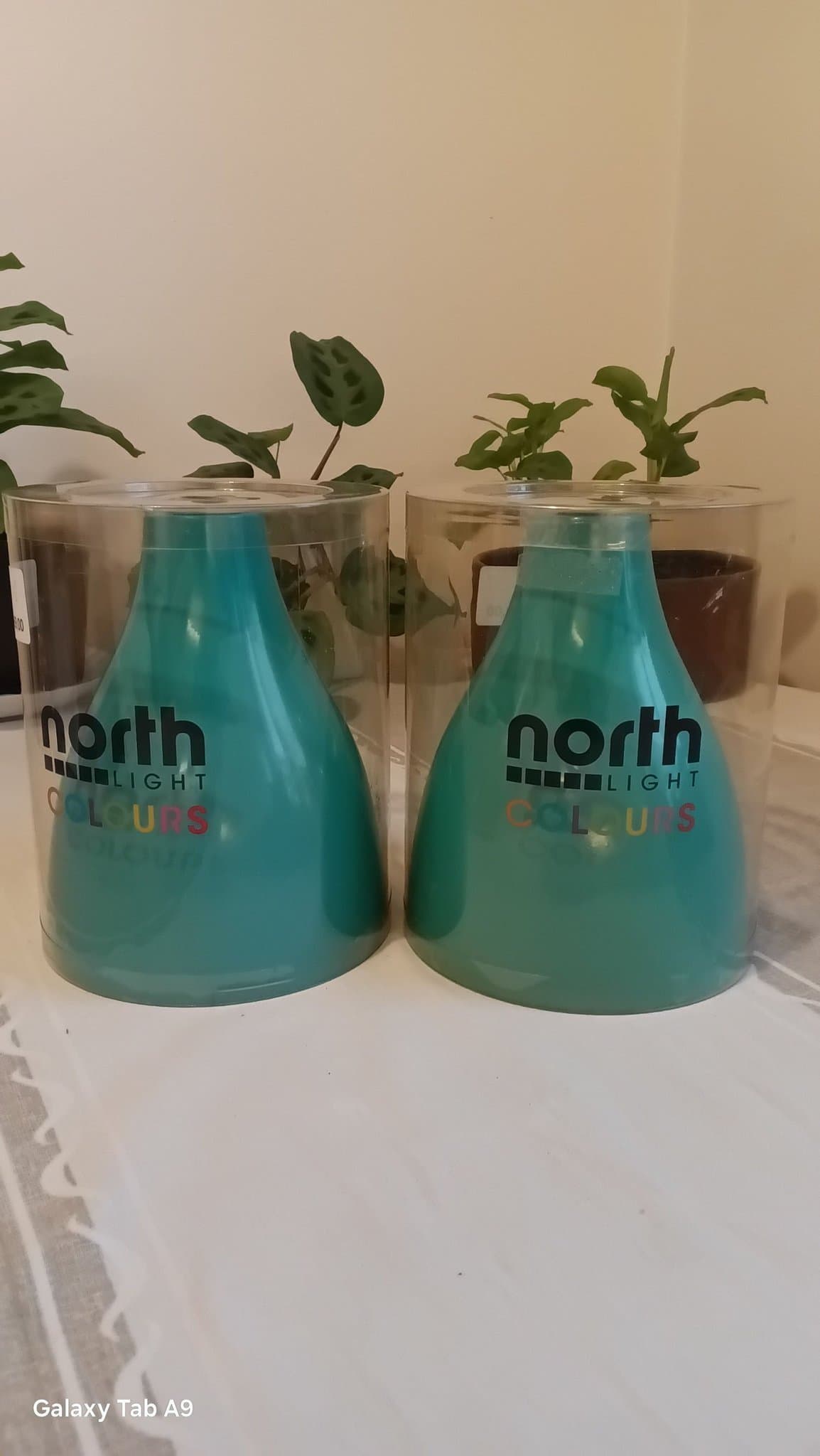 North Light Colours Lampa