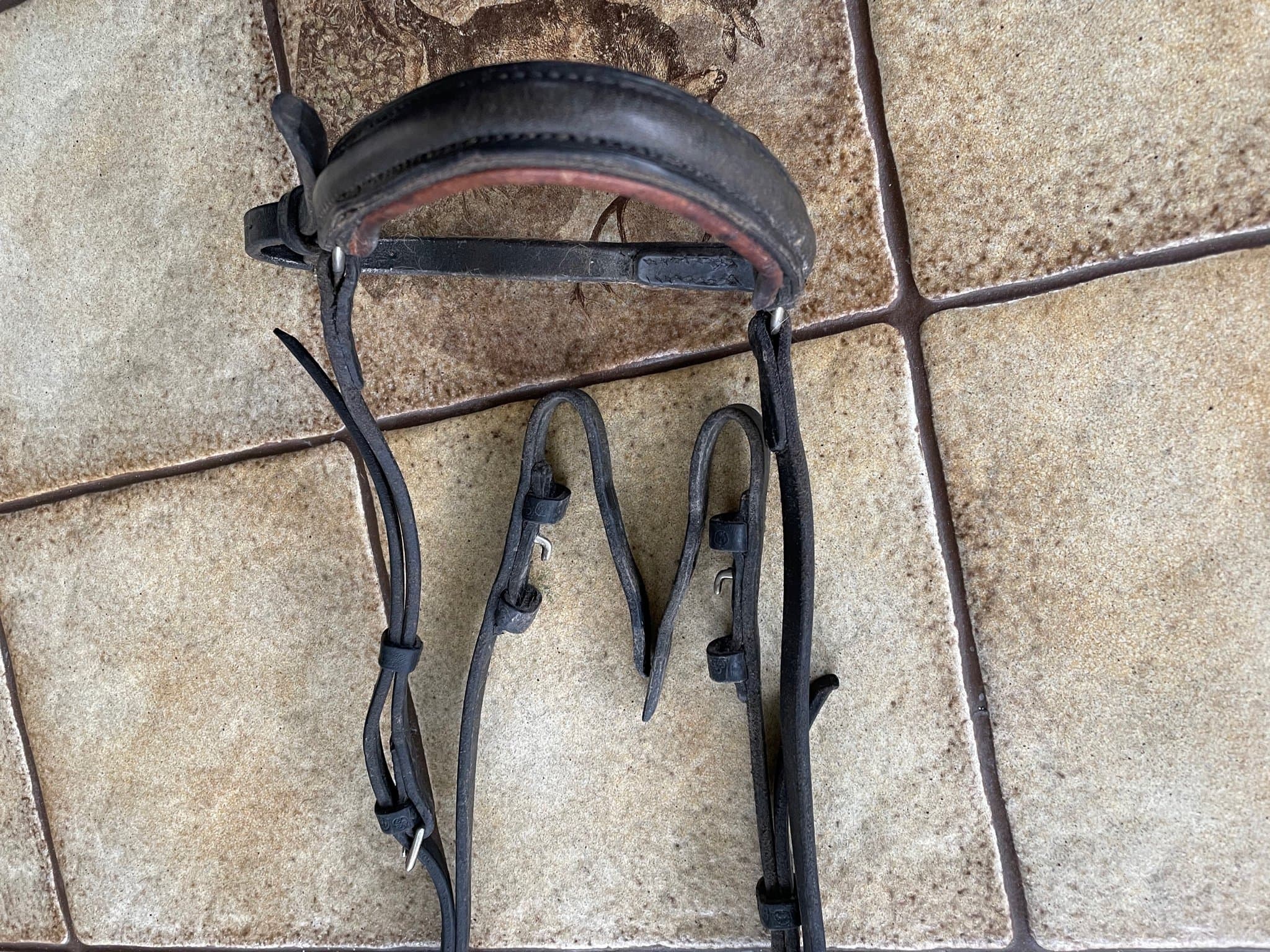 Träns i läder ”STUBBEN”