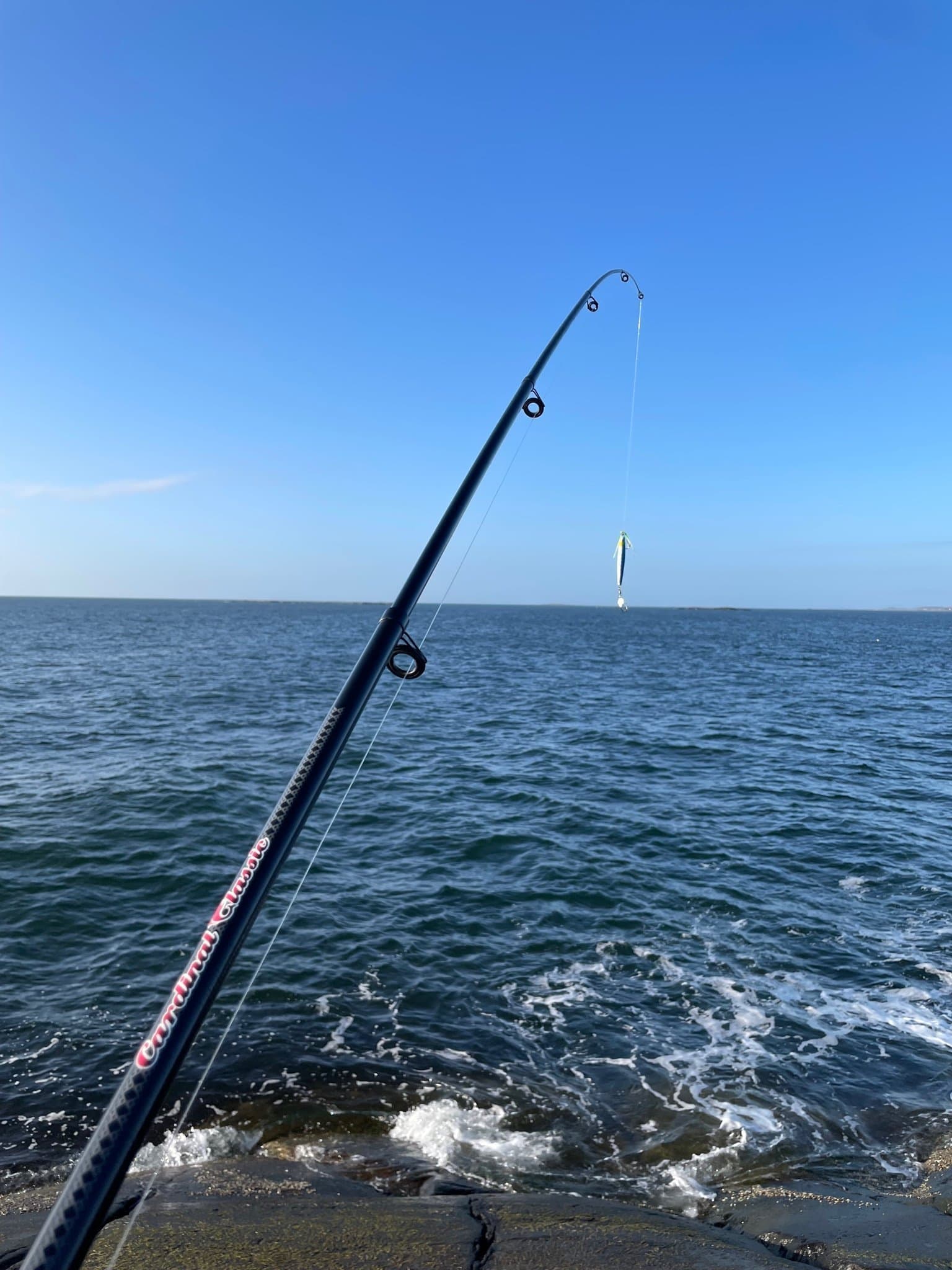 Abu Garcia Cardinalset 9” 274cm