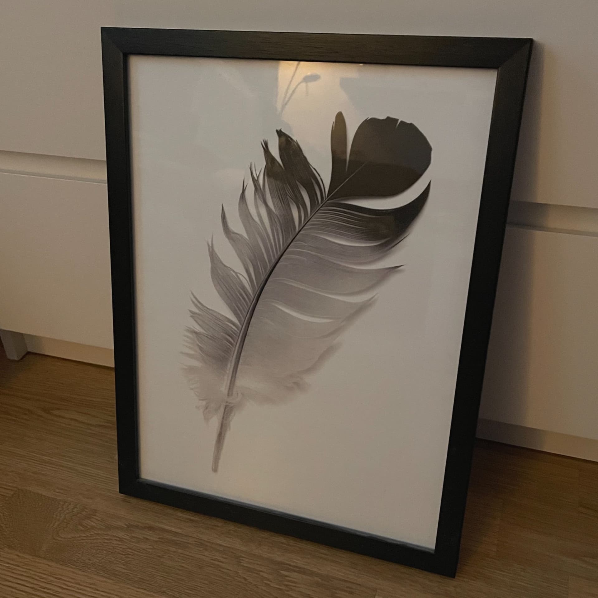 Tavla med fjäder och svart ram