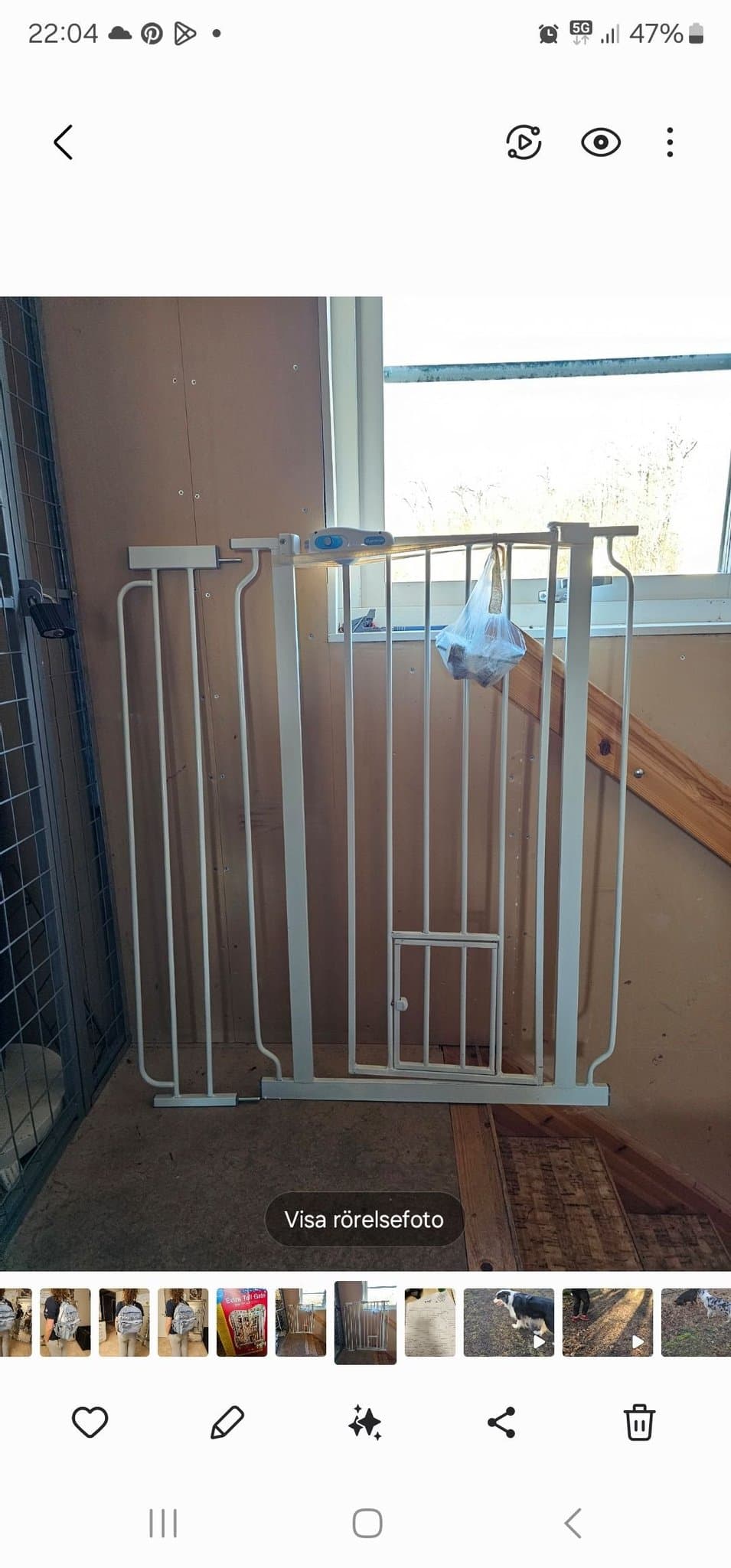 Extra hög husdjursgrind med liten husdjursdörr