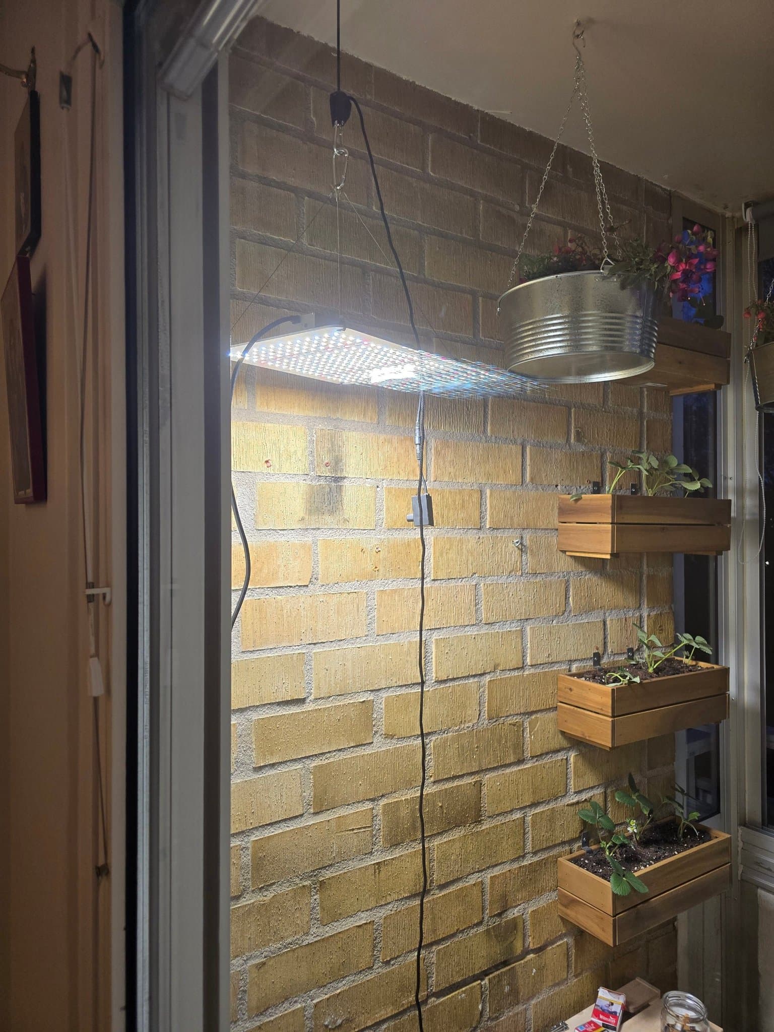 LED Växtlampa för inomhusodling