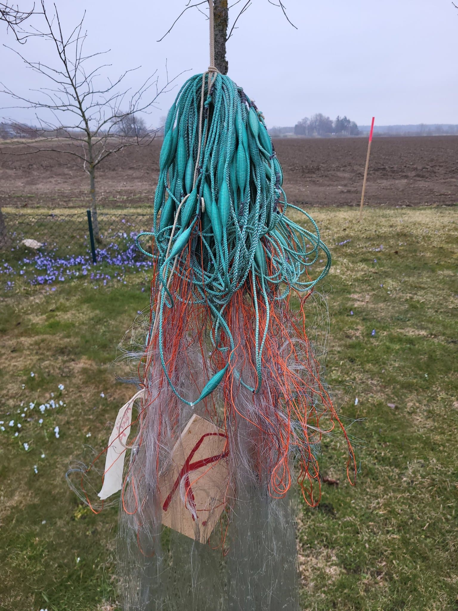 Nytt Fiskenät flundra sik lax öring knutavstånd 50mm, , längd 47 m. djup 1,5m R