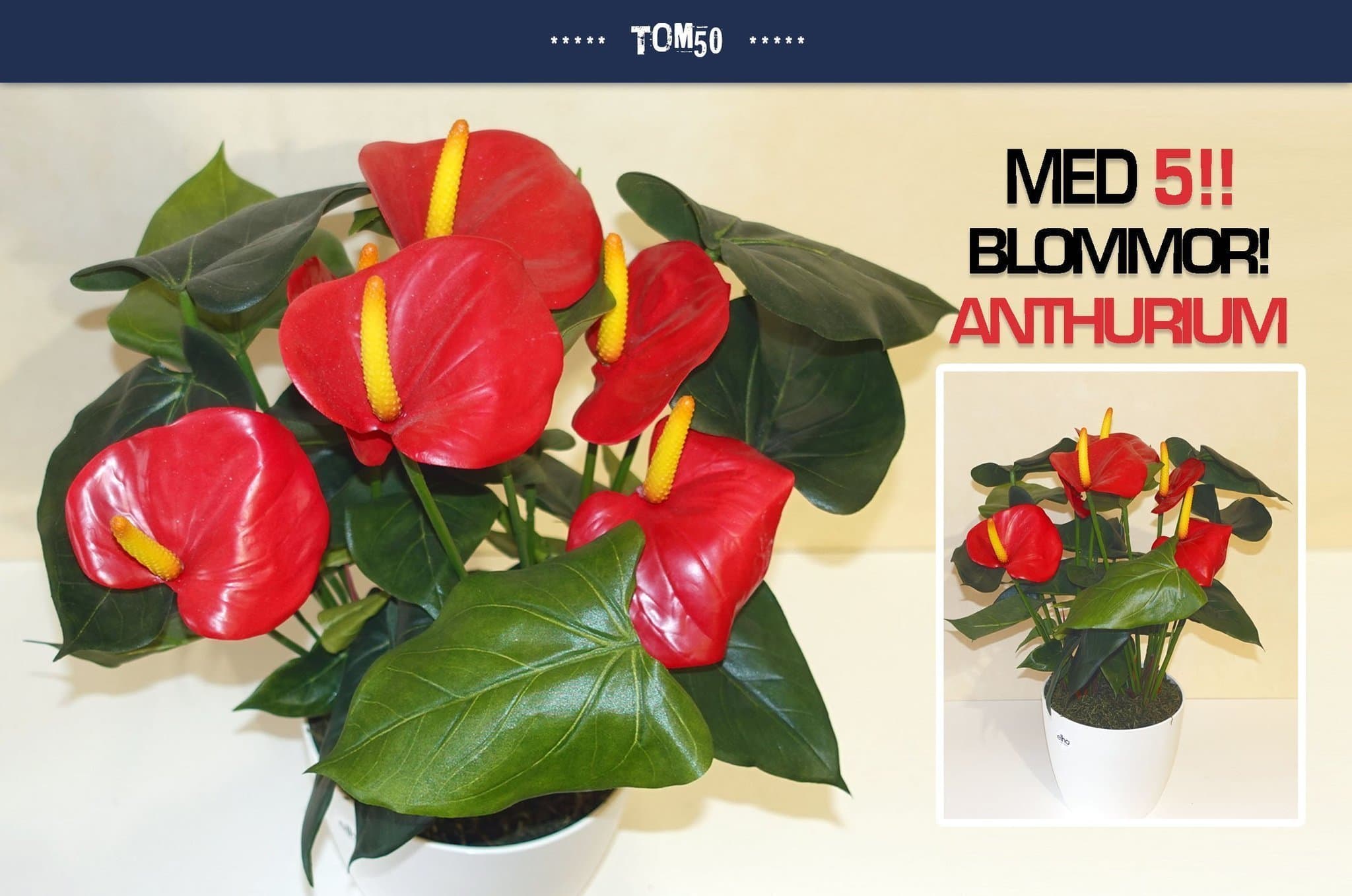 Anthurium OBS - 5 st blommor! 45 cm konstväxt konstgjord krukväxt växt (1/2)