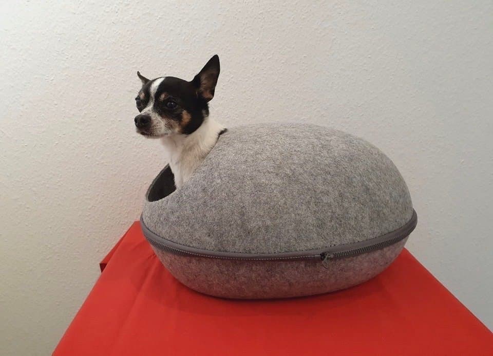 Hund säng i filt