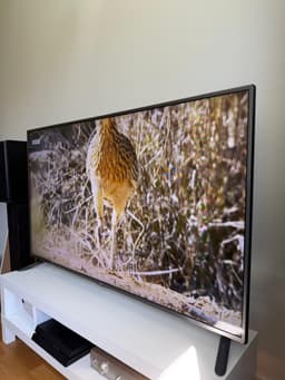 LG 55" Tv med Google Chromecast