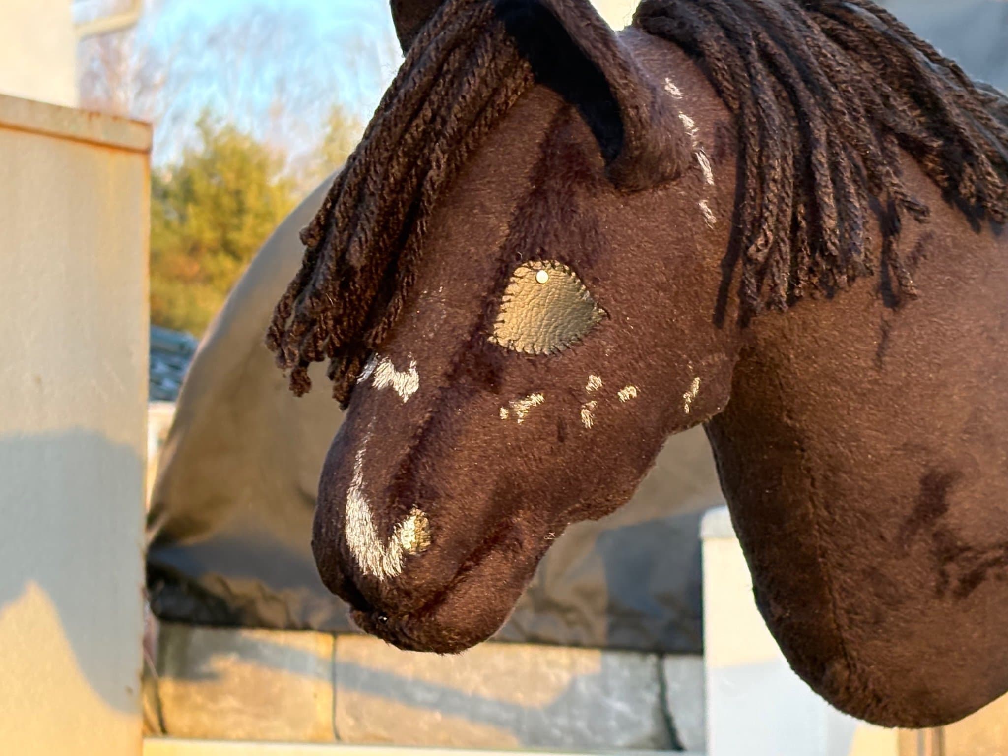 Käpphäst/hobbyhorse - ljung_kapphastar