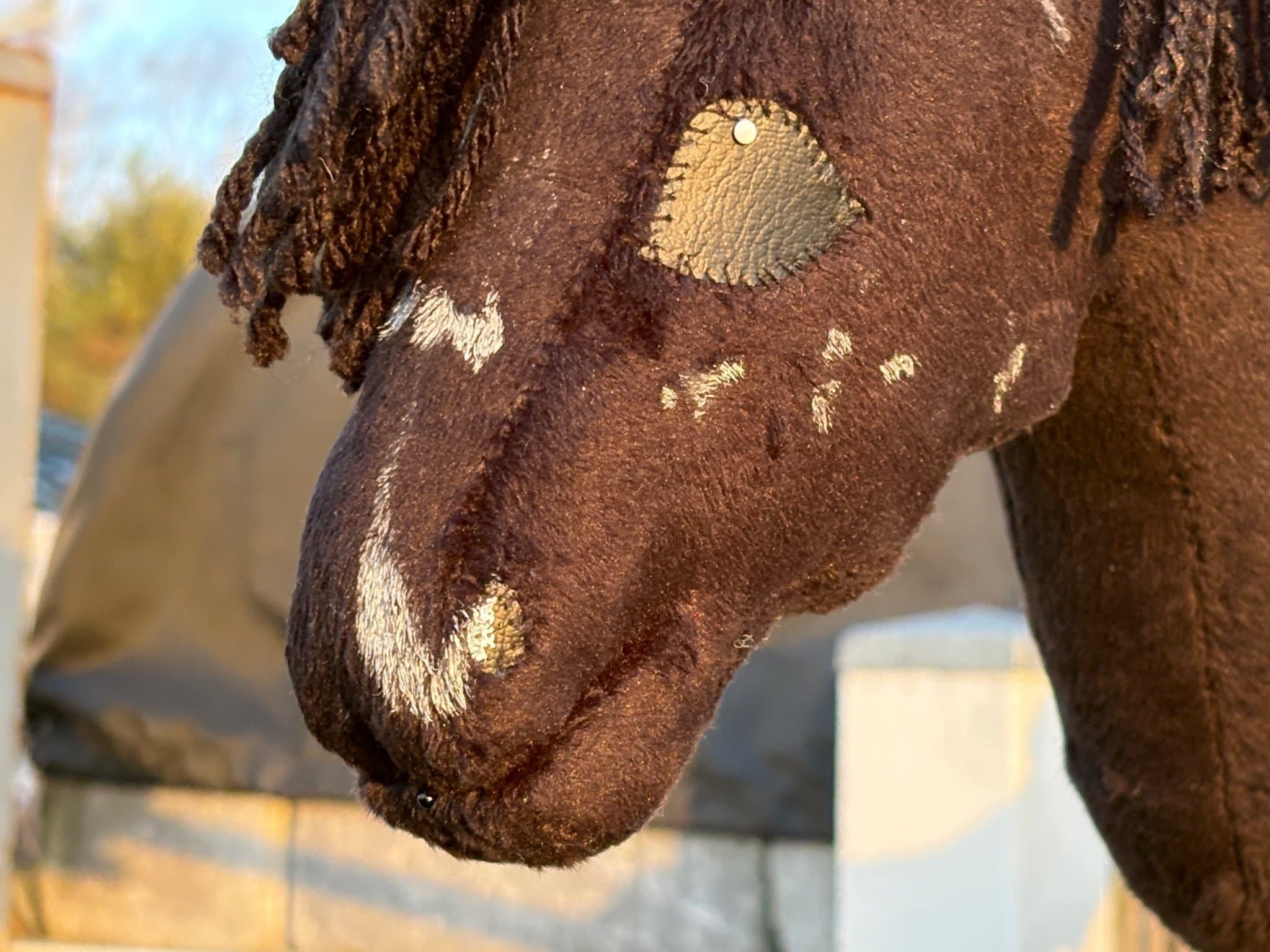 Käpphäst/hobbyhorse - ljung_kapphastar