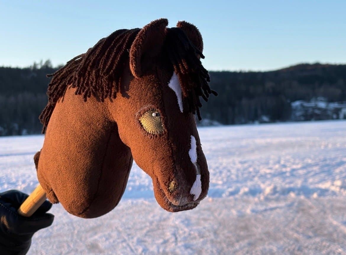Käpphäst/hobbyhorse - @ljung_kapphastar