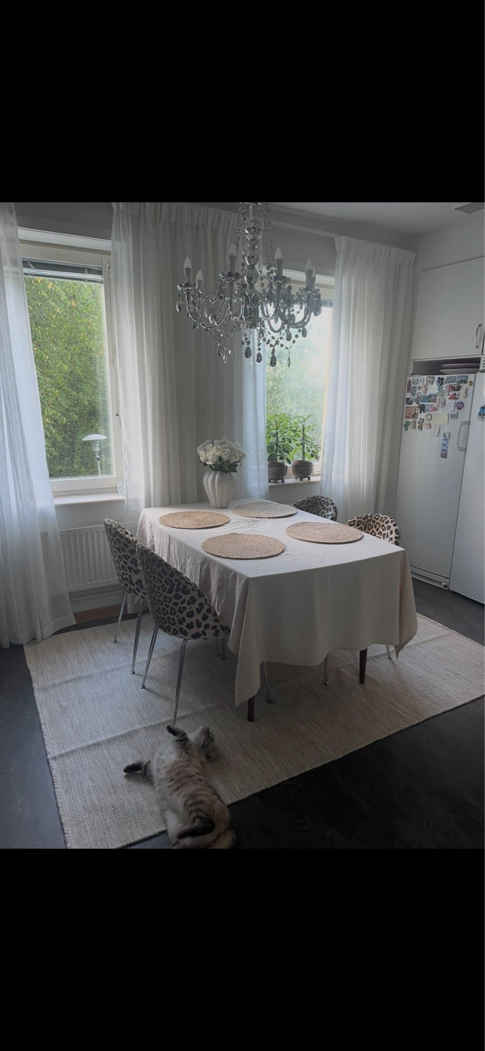 Matstolar med leopardmönster, 4 st
