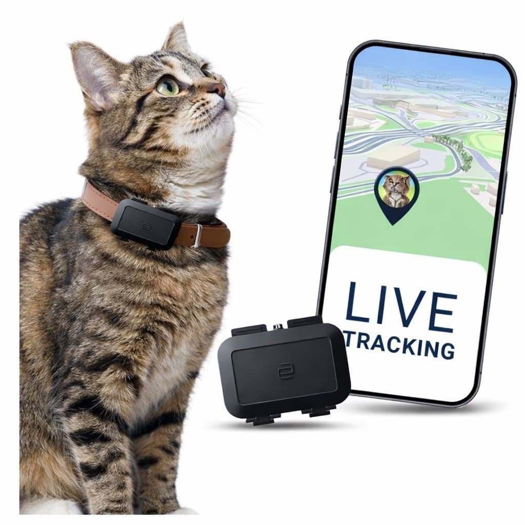 GPS - Tappa aldrig bort din älskade katt | vattentät | ord pris: 499kr