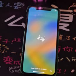 iPhone X