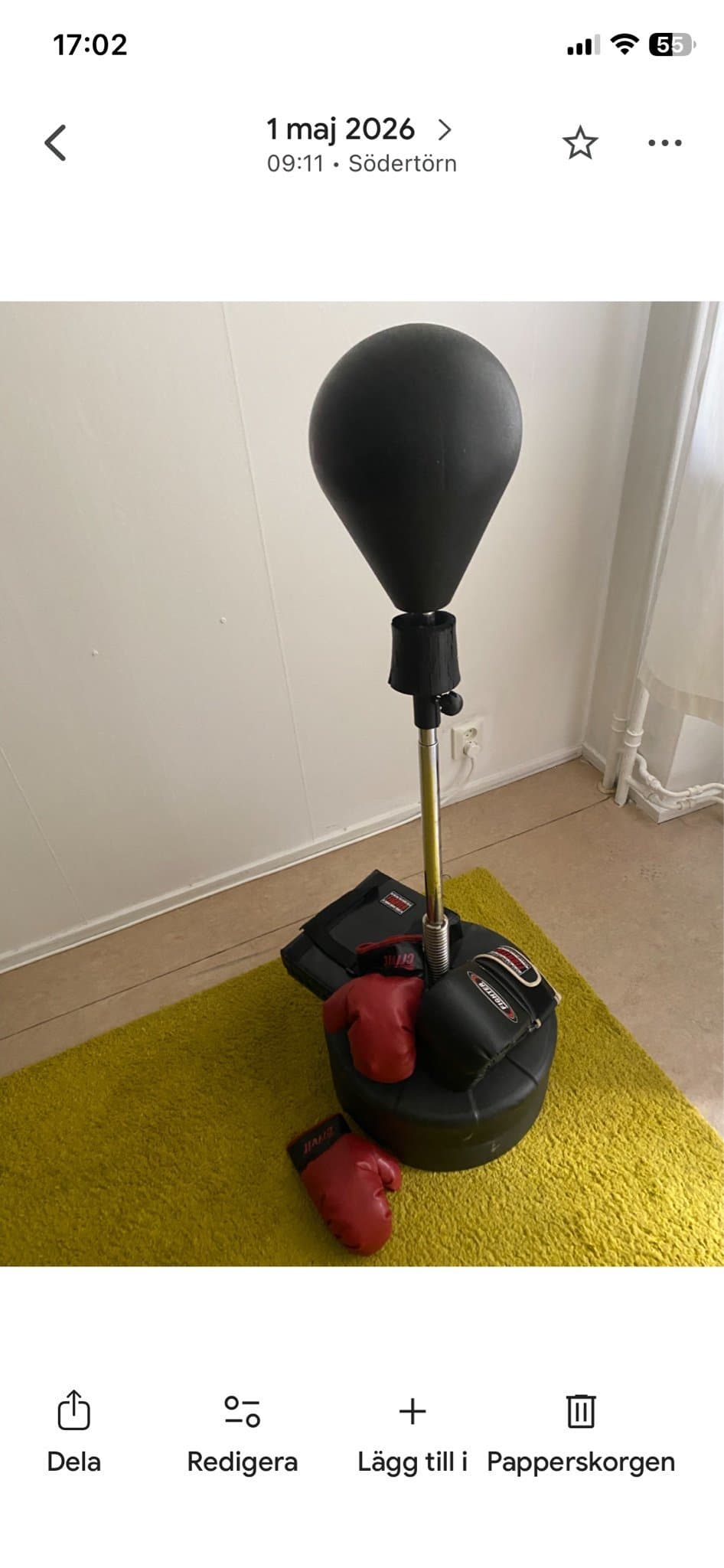 Boxningssäck med handskar