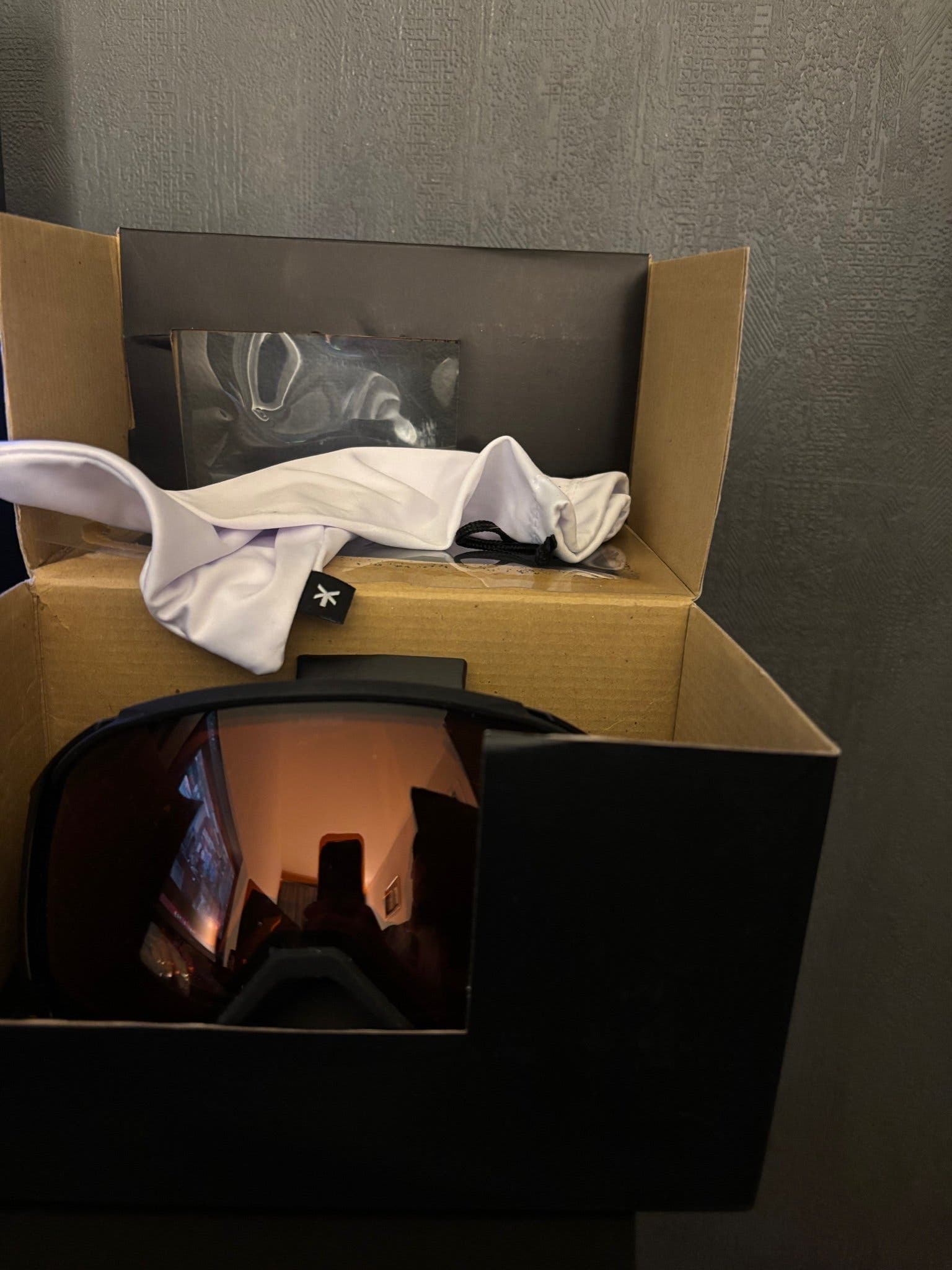 Everest Alpine Goggle skidglasögon