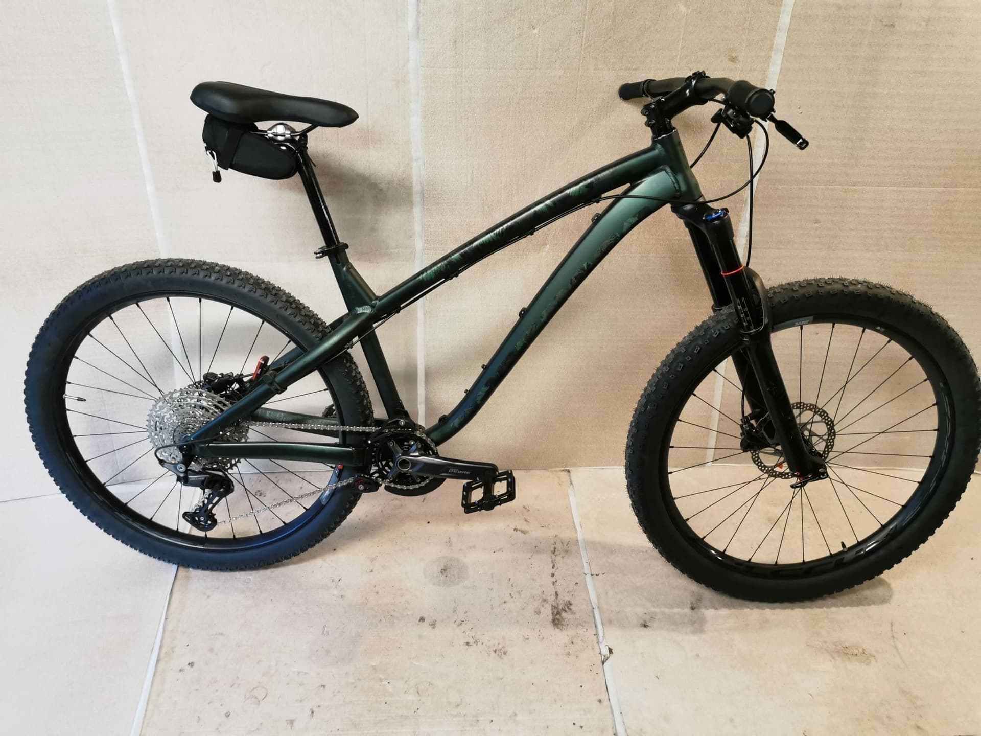 Dartmoor Bike Hornet