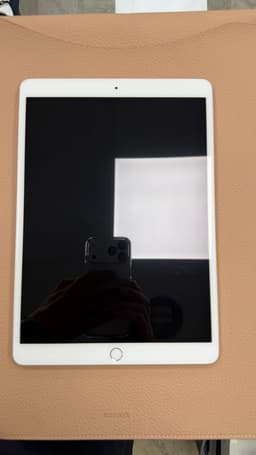 iPad Pro 10.5 tums Retina 256GB