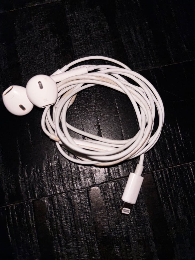 Apple EarPods with Lightning Connector