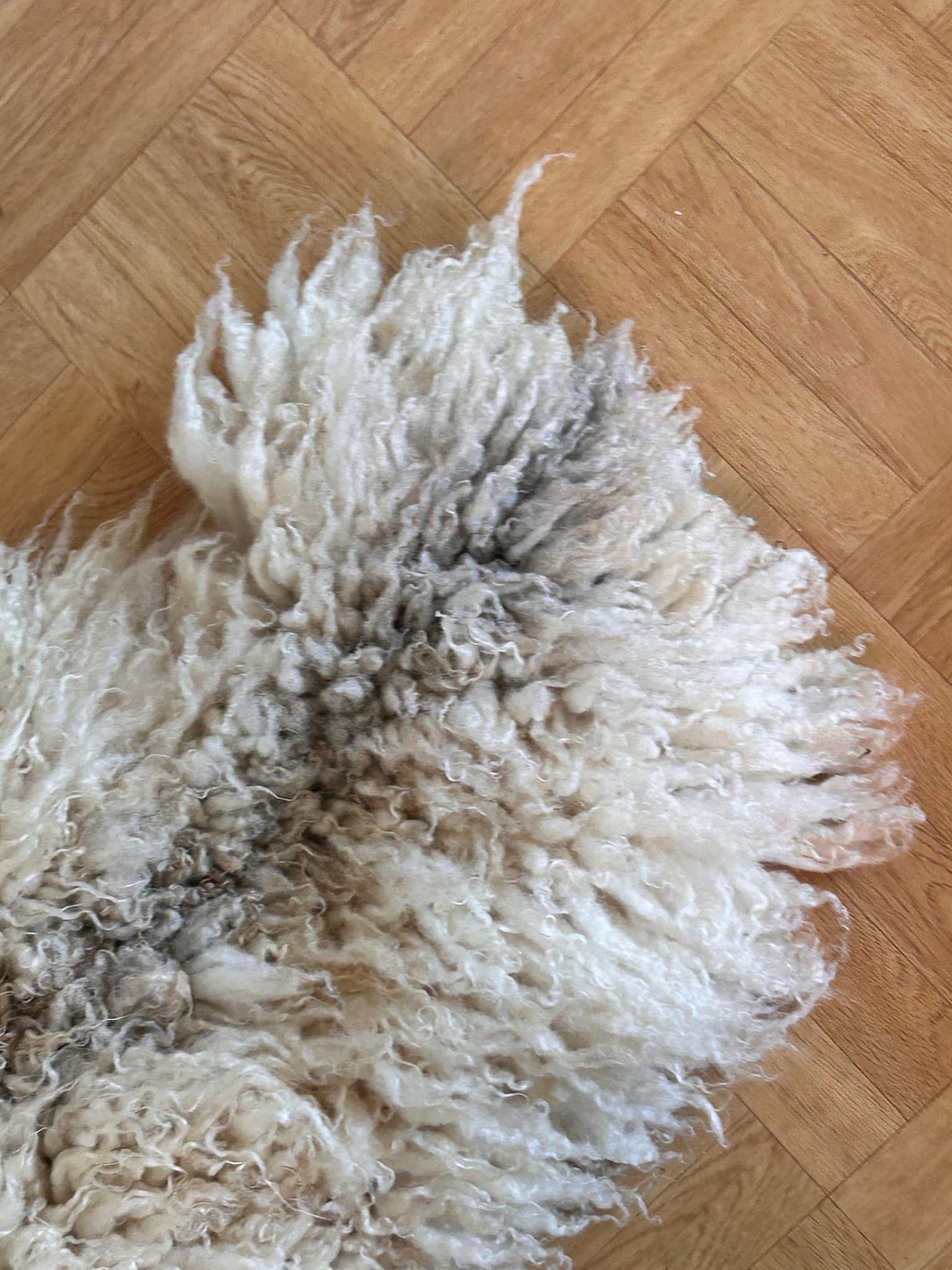 XL Långhårig Fårskinn / Unikt .ca 110 × 80cm