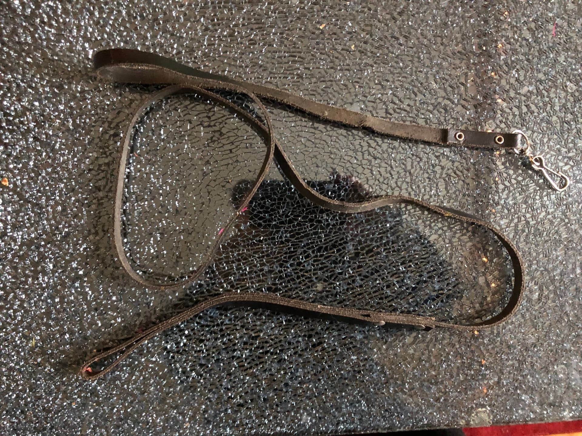 Kattsele + koppel – justerbar, gott skick