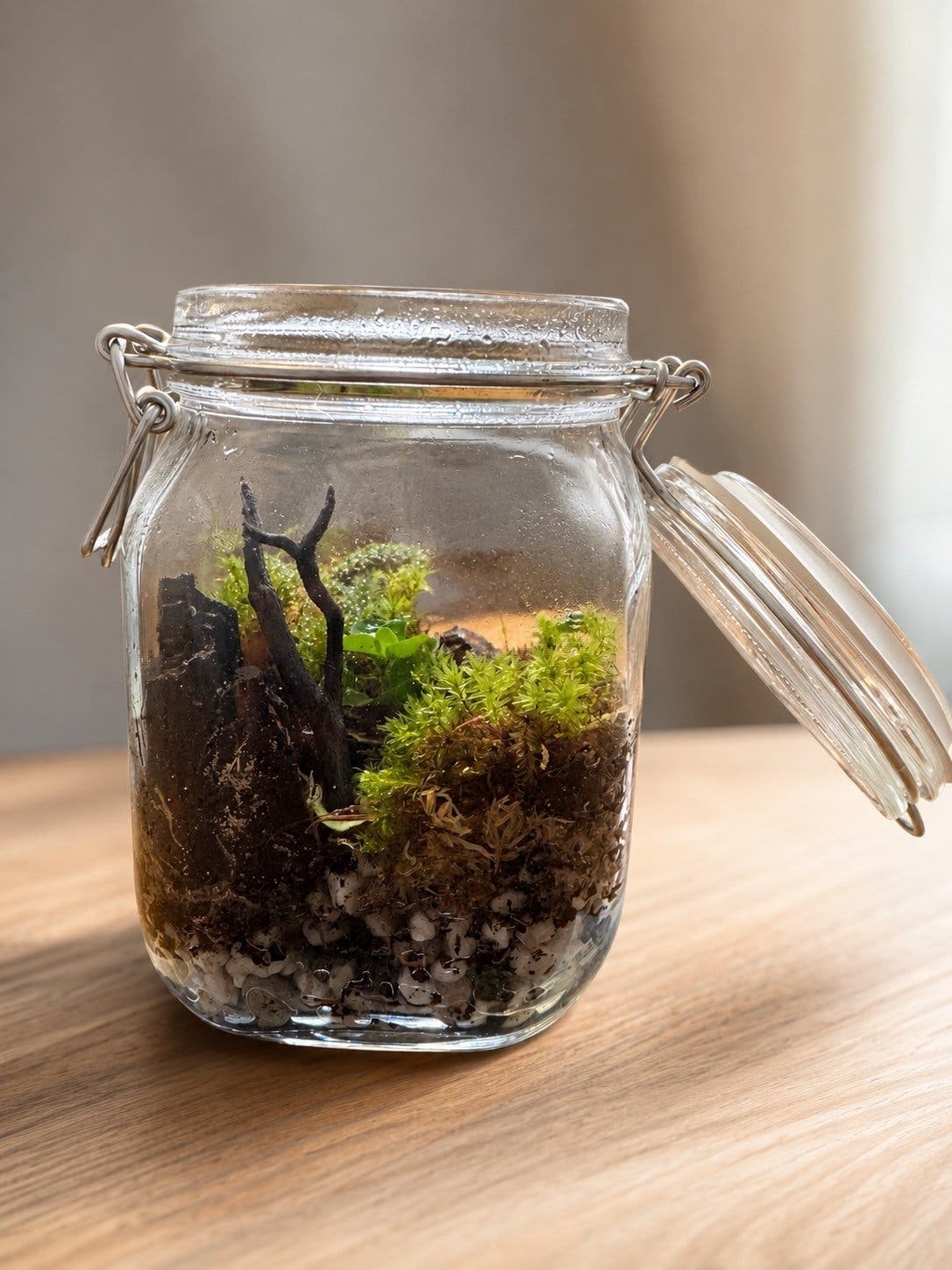 Handgjort terrarium i glasburk