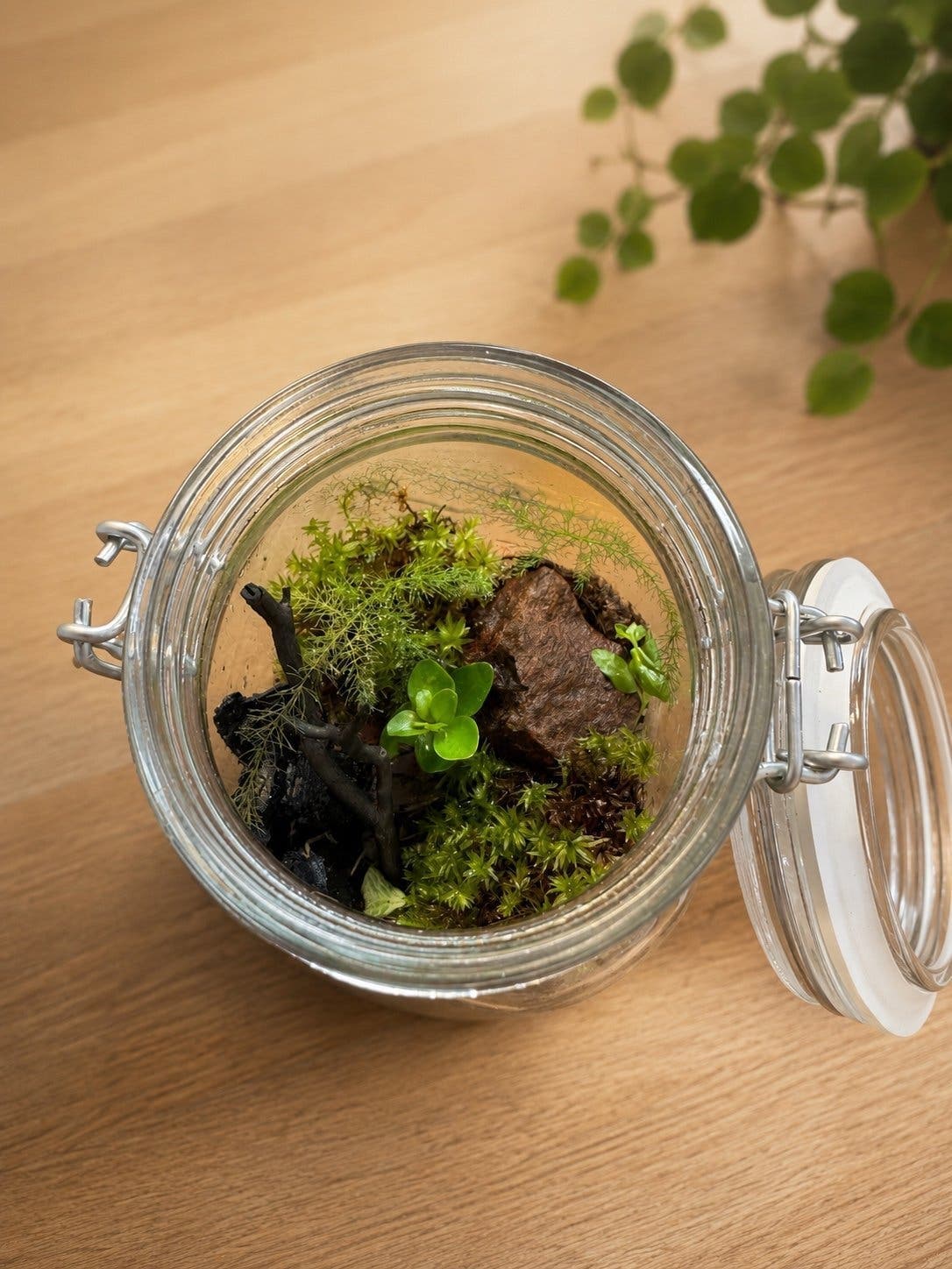 Handgjort terrarium i glasburk