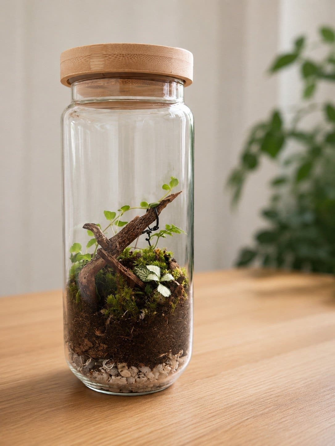 Handgjort terrarium med levande mossa