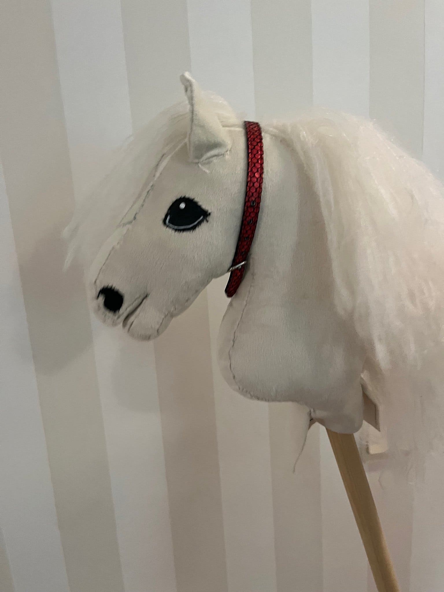 Käpphästföl med träns och halsring