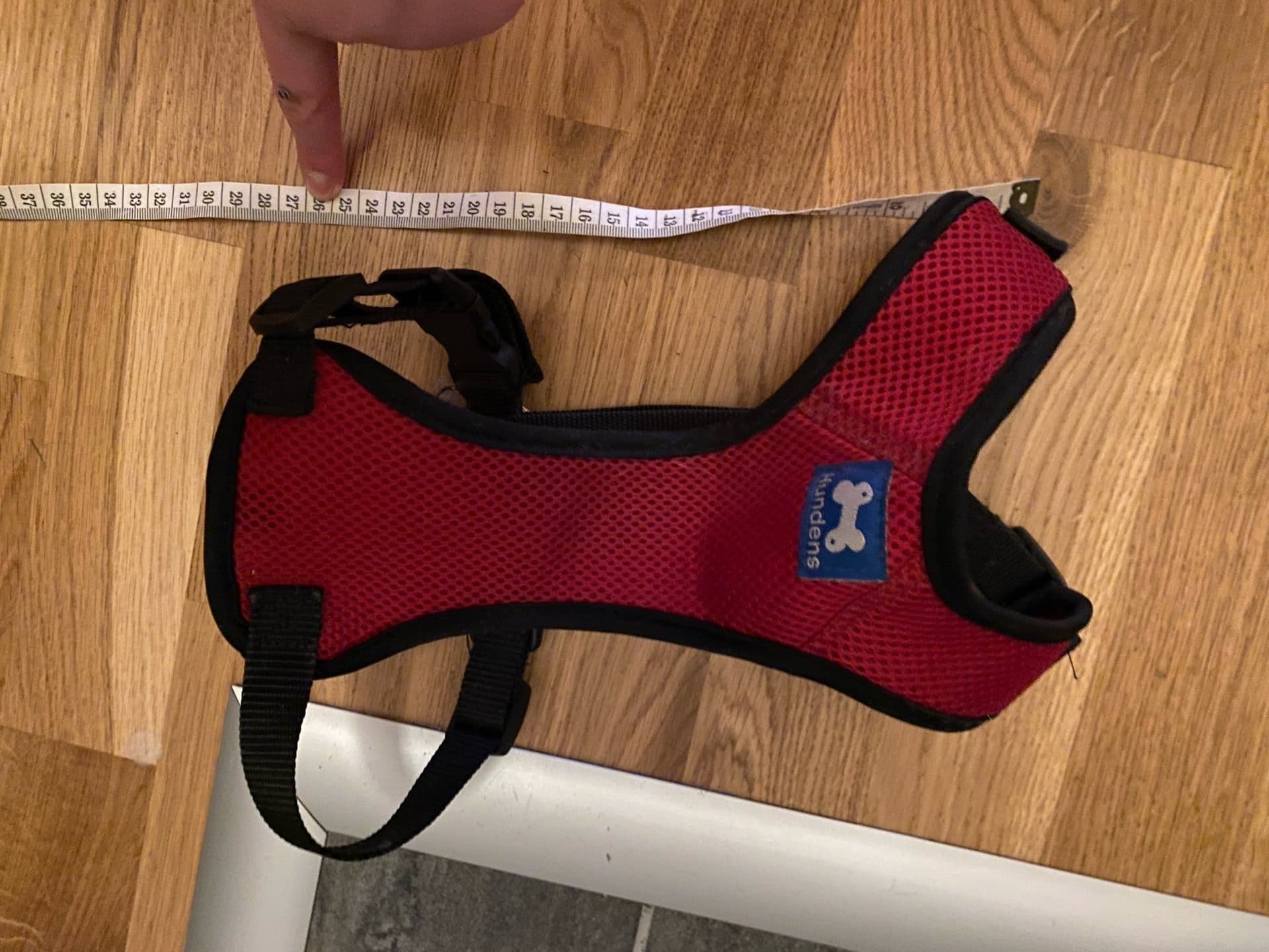Promenadsele för hund Hundens