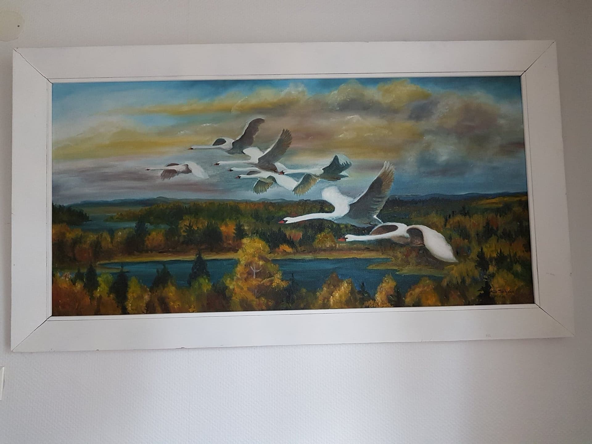 Äldre tavla med flygande svanar över ett skogs och sjölandskap