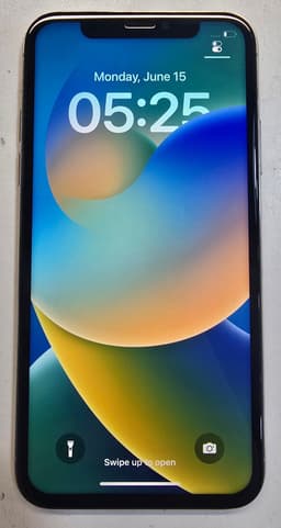 iPhone X 256GB