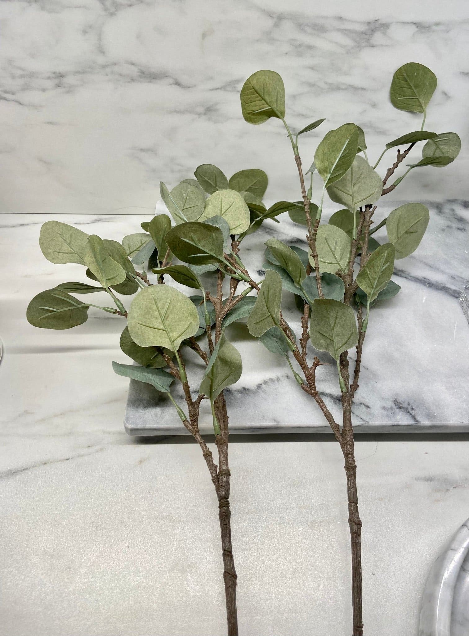 2st Eucalyptus Kvistar 65cm Konstgjorda