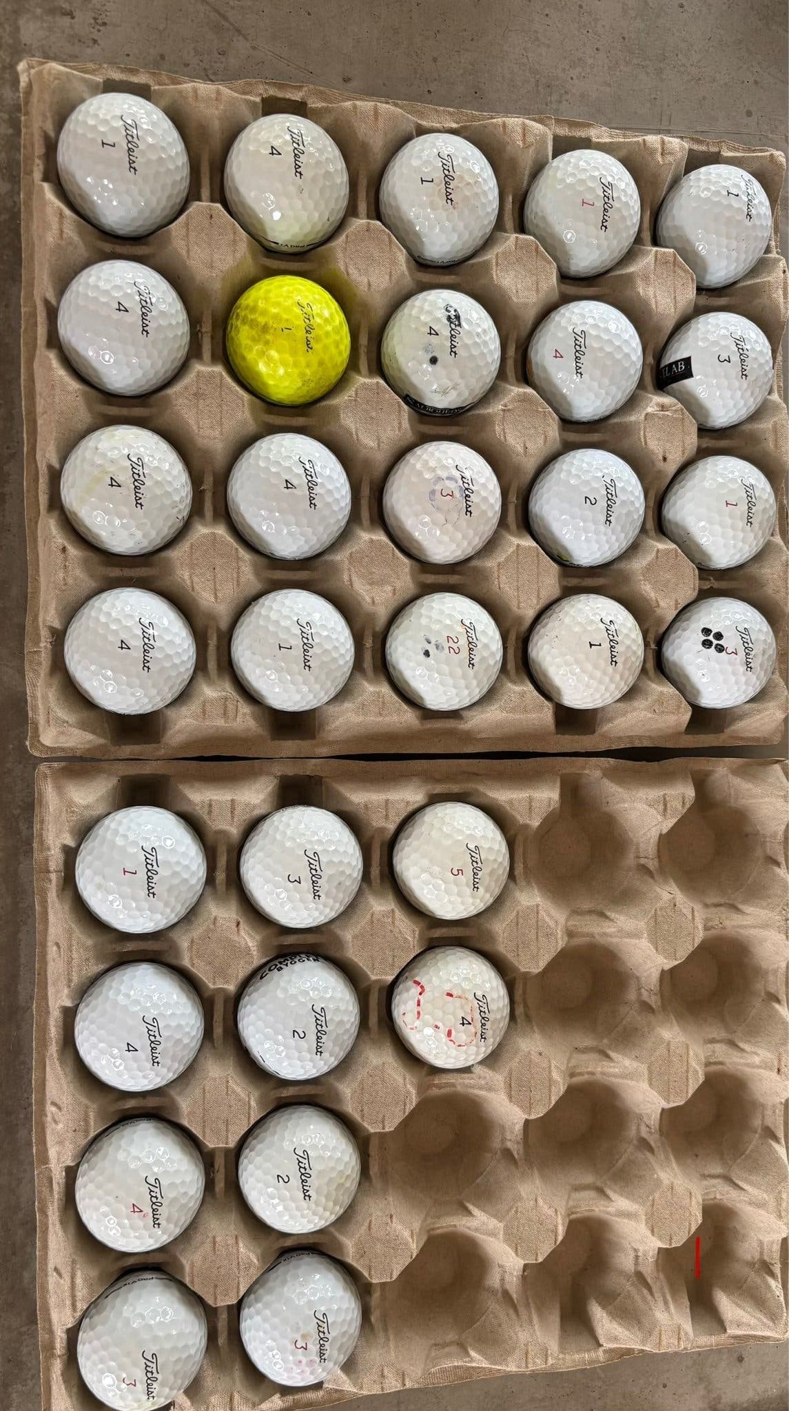Golfbollar Titleist Pro v 1