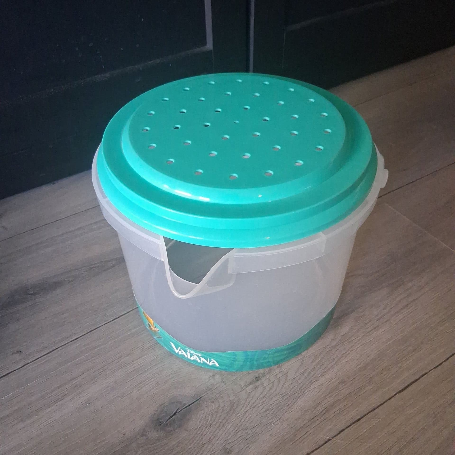 Bad- eller strandleksaker från Vaiana