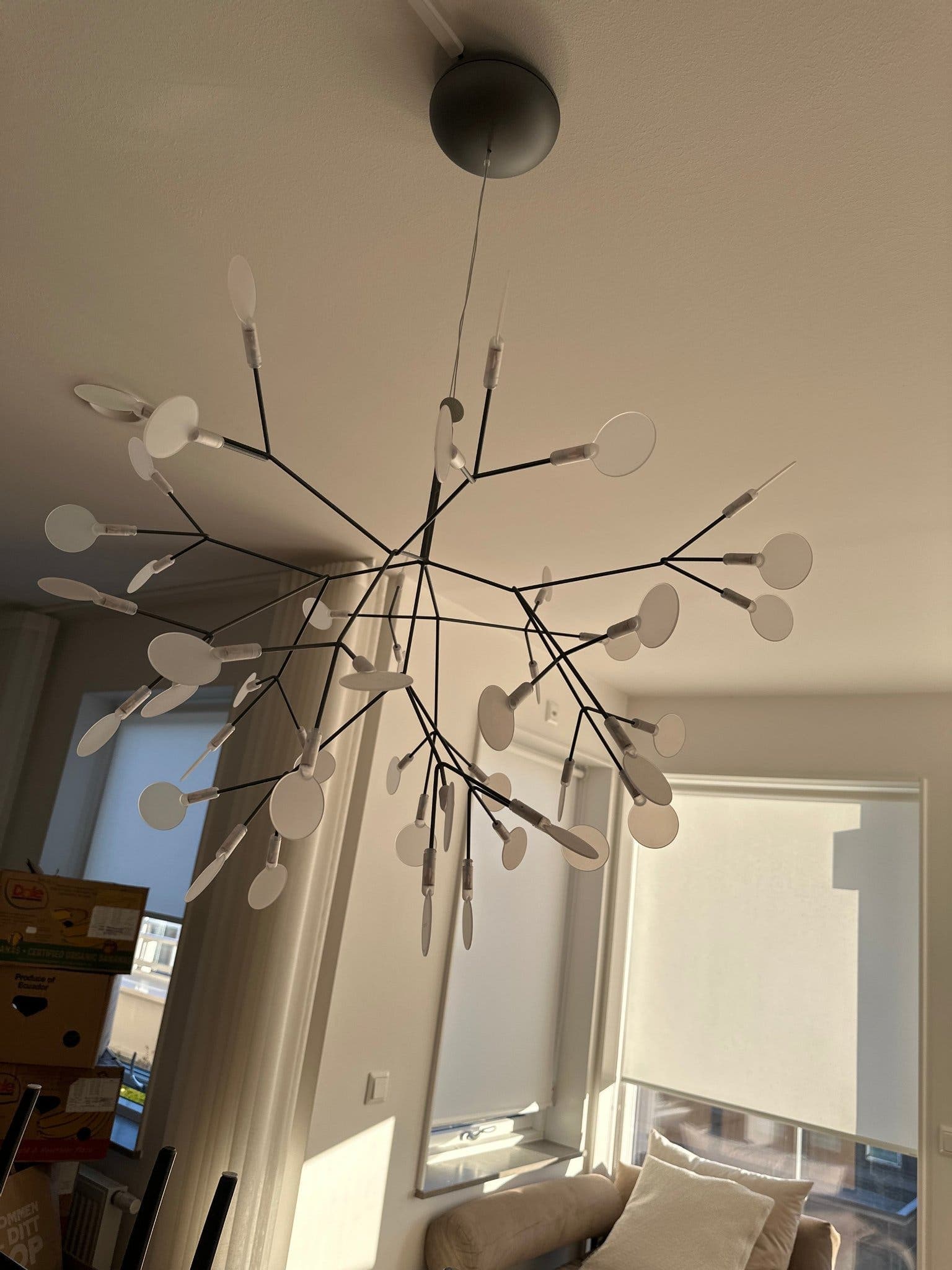 Moooi Heracleum II Ljuskrona