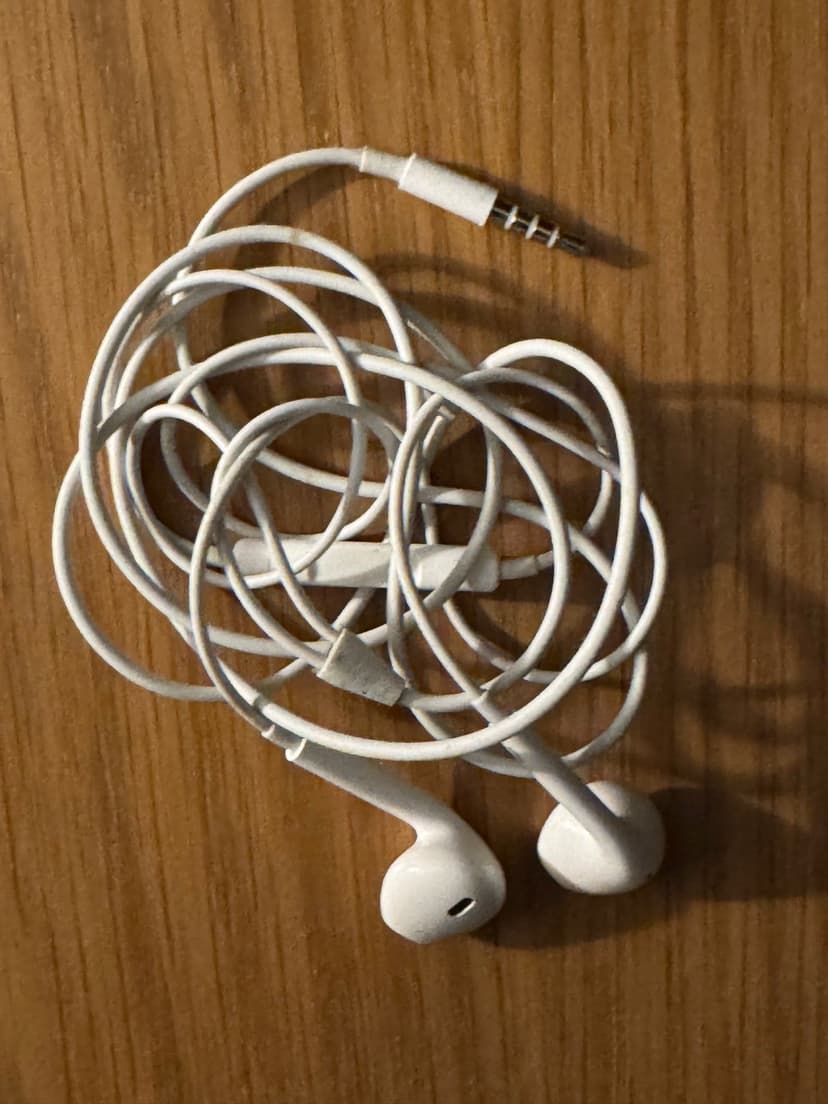 Apple EarPods with Remote and Mic