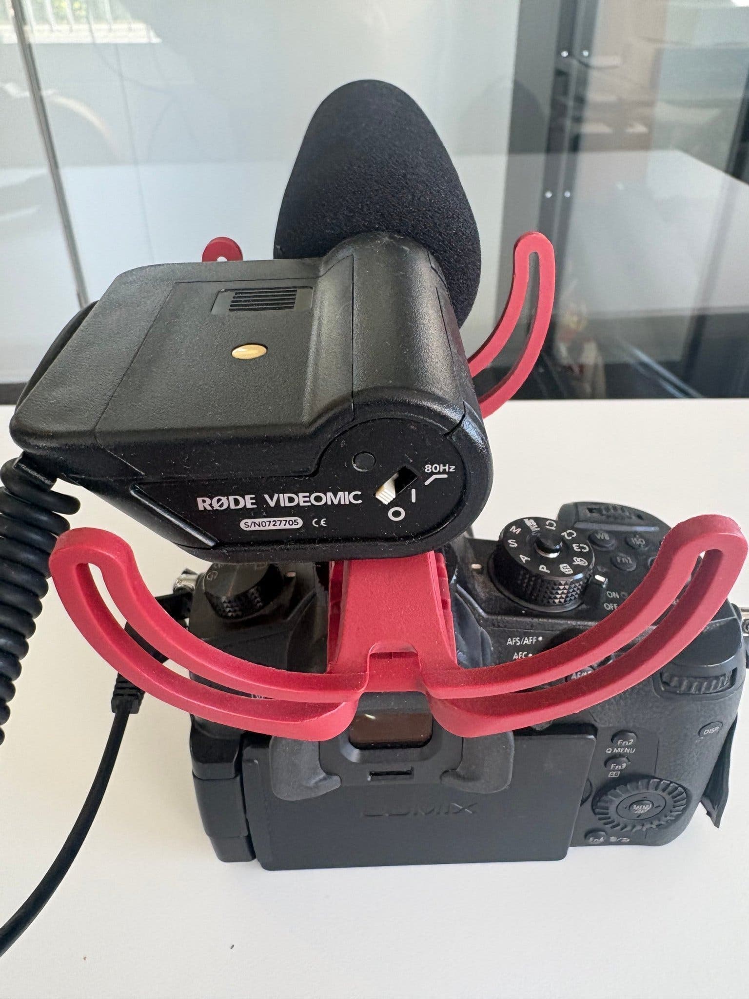 Panasonic LUMIX GH5 Camera med 12-60 Objektiv och RØDE Videomic