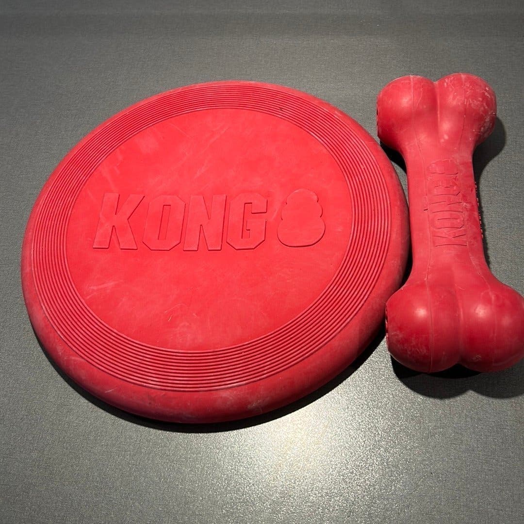 KONG Dog Toy Set - Frisbee och Ben