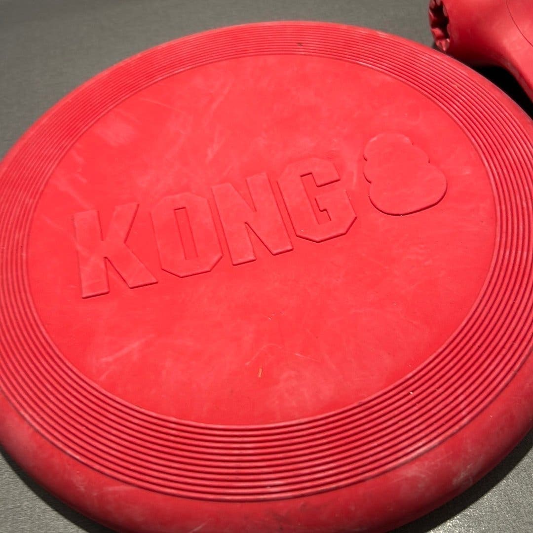 KONG Dog Toy Set - Frisbee och Ben