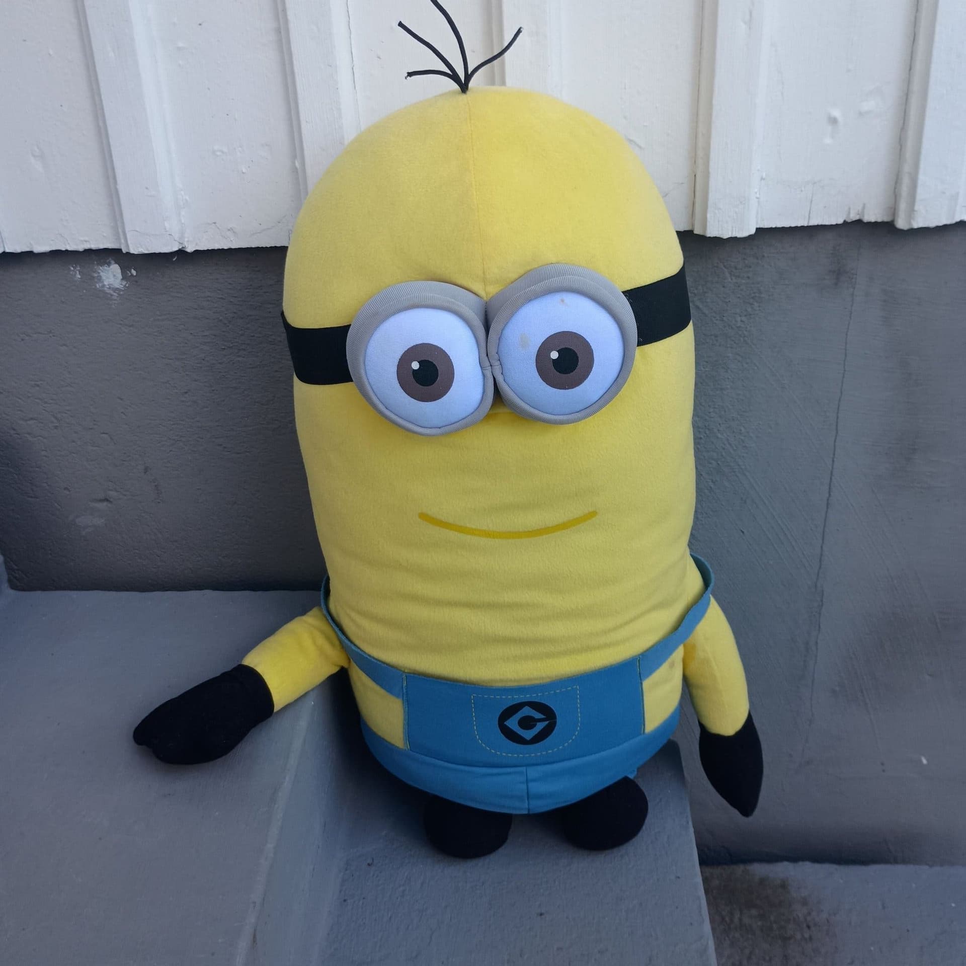 Minion gosedjur från Despicable Me 2
