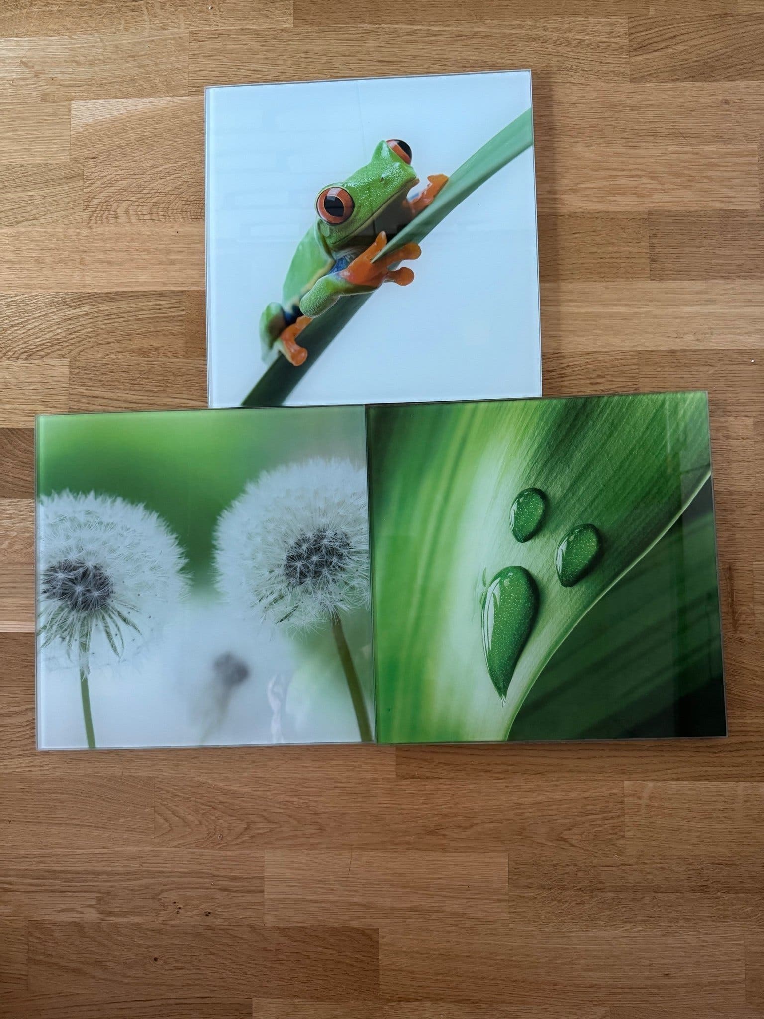 Tavlor Tavla Glas Groda Maskros Blad Spa