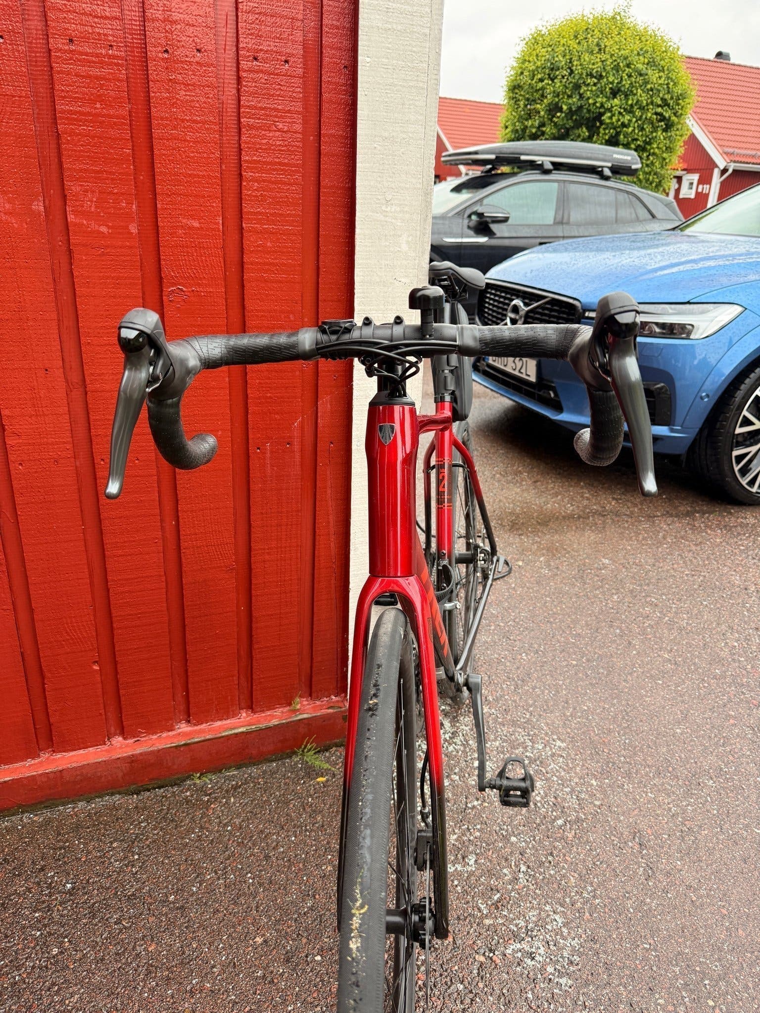 Trek Domane AL 2 Gen 4 – 2026