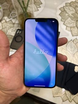 iPhone 13 Pro Max