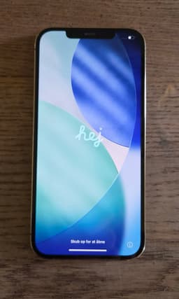 iPhone 12 Pro Max i fint skick
