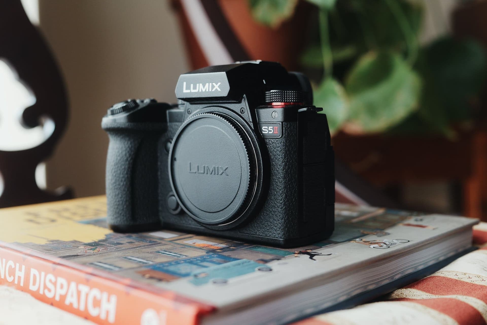 Panasonic Lumix S5II