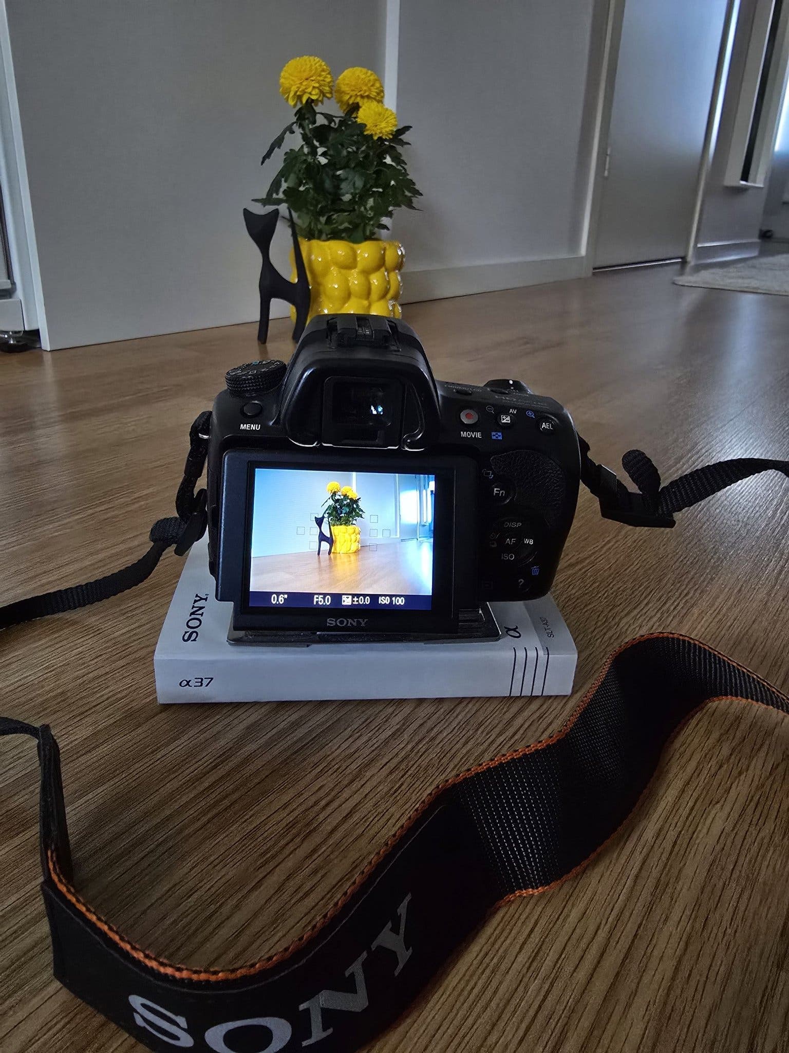 Sony Alpha 37 (SLT-A37)
